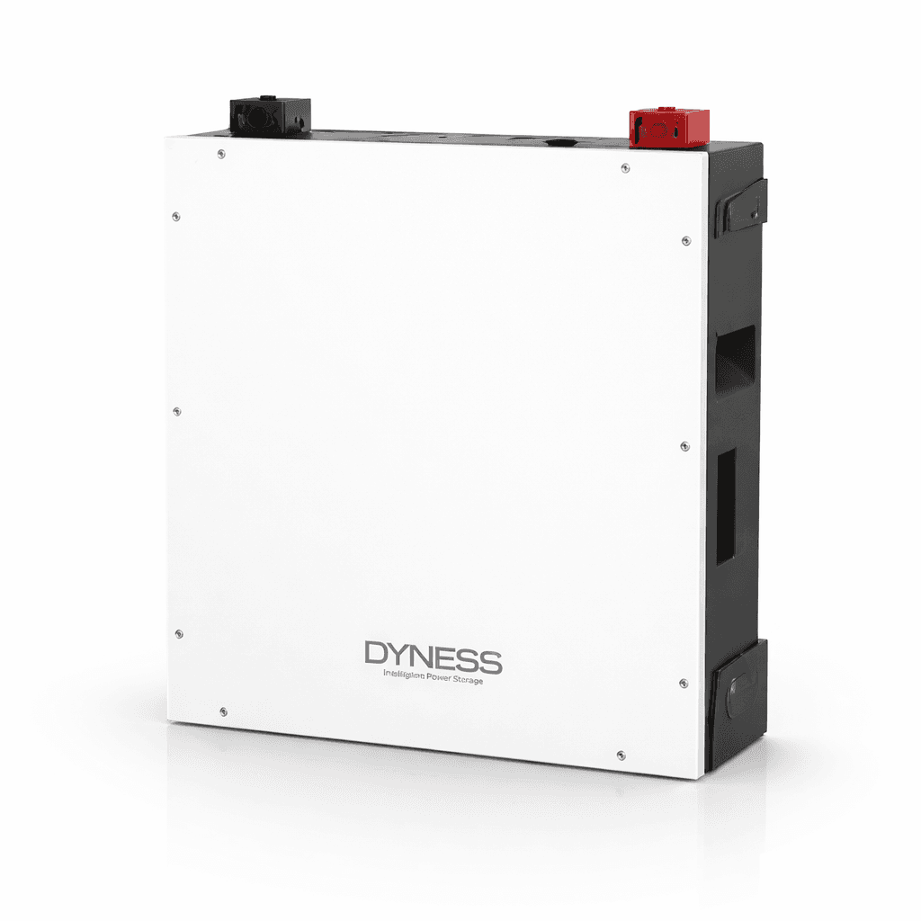 Dyness DL5.0C 51.2V 100Ah Lithium Battery